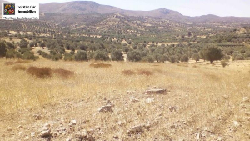 Sivas Kreta, Sivas: Grundstück 17.000 m² in guter Lage Grundstück kaufen